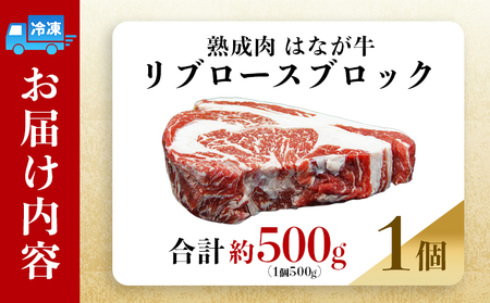 ＜熟成肉 はなが牛リブロースブロック約500g（500g×1個）＞ 牛肉 ステーキ 鉄板焼き 焼き肉 国産 塊肉 かたまり 霜降り しもふり バーベキュー BBQ キャンプ アウトドア 特産品 ゆうぼ
