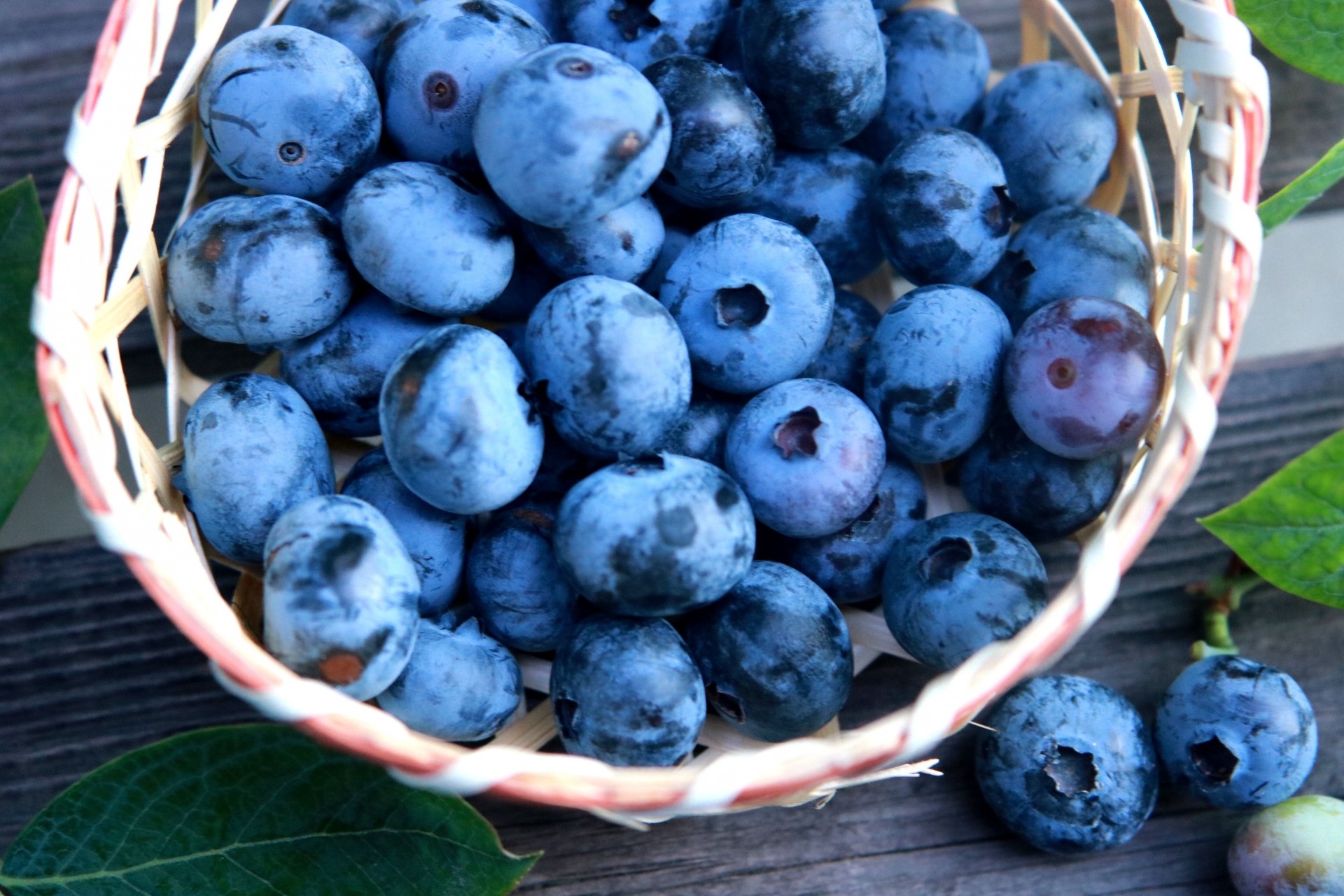 
            富岡産冷凍ブルーベリー　
          