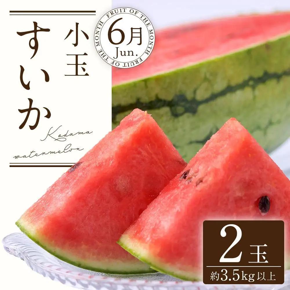定期便全3回 和歌山の人気の夏のフルーツをお届け！ ［TM204］