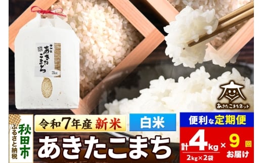 《令和7年産 新米受付》《定期便9ヶ月》あきたこまち 清流米 4kg(2kg×2袋)【白米】 秋田市雄和産