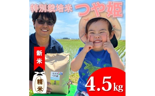 【令和8年産・精米】ecofarmすがわらの特別栽培米つや姫4.5kg　※10月下旬ごろから順次発送開始