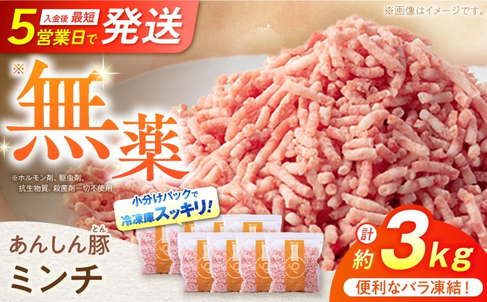 
            《バラ凍結》 ミンチ 約 3kg （380g×8袋） 豚肉 肉 小分け 離乳食 冷凍 白川町 / 藤井ファーム [AWAF034]
          