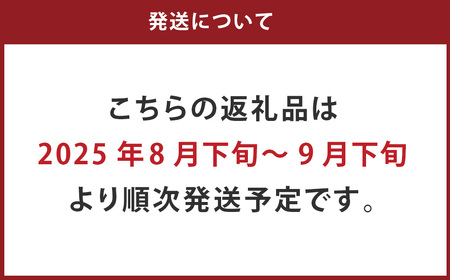 【2024年8月下旬より発送開始】 熊本市産 梨 ( 幸水 ・ 豊水 ・ 秋月 ・ 新高 など)  約4kg 果物 フルーツ ナシ