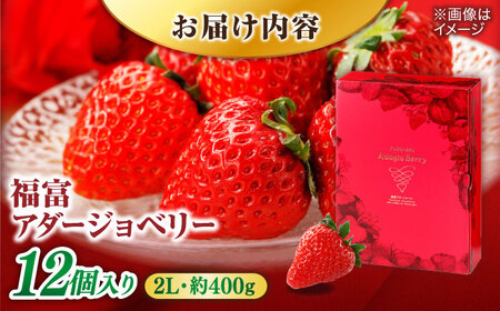 島根県松江市「のつ農園」　完熟いちご「福富アダージョベリー」　12個入り 島根県松江市/山陰中央テレビジョン放送株式会社[ALFI003]