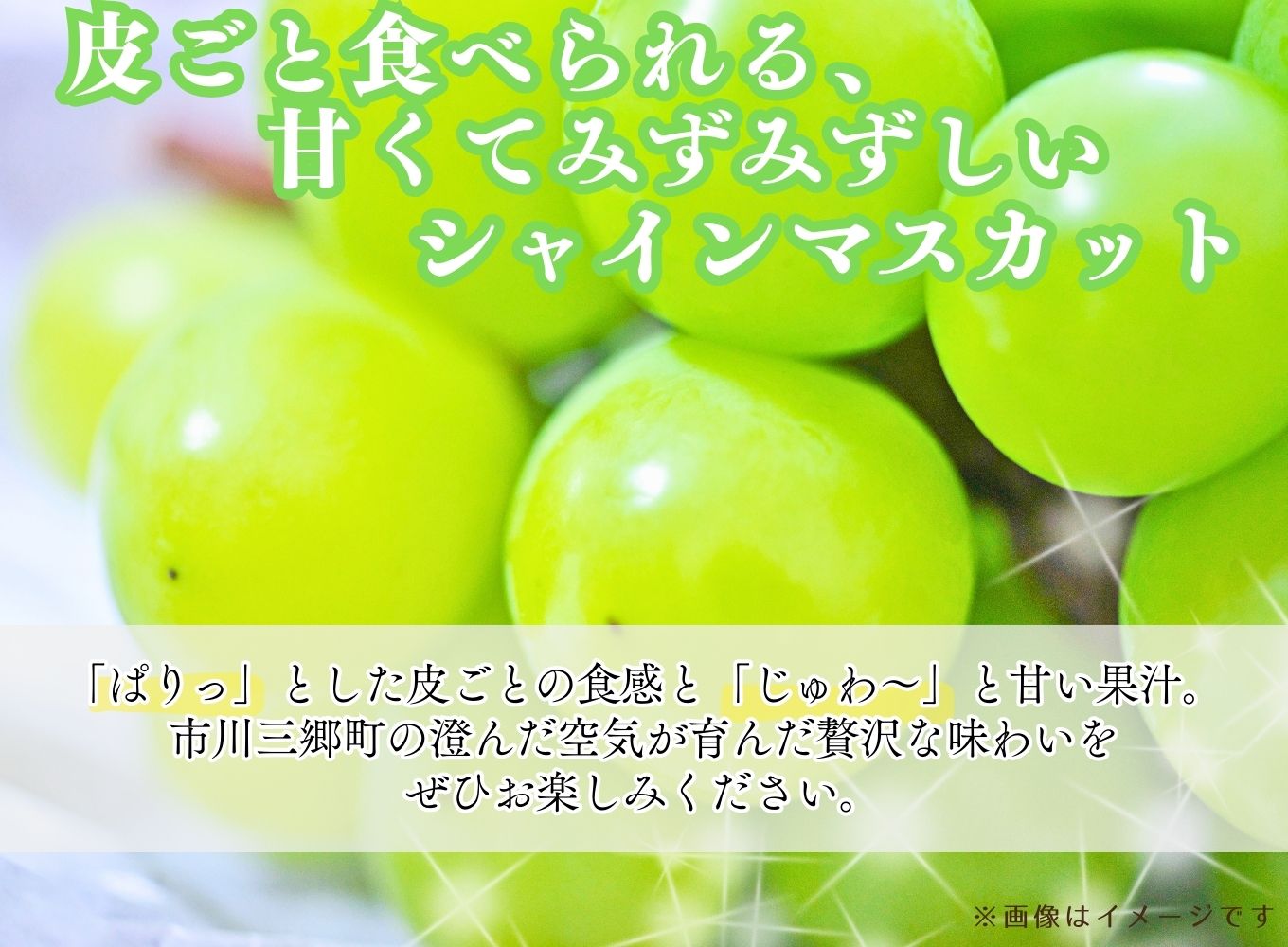 【先行予約】秀品シャインマスカット　4房（約2.2kg）【2025年8月下旬から発送】Inakakara厳選！市川三郷町産[5839-1980]