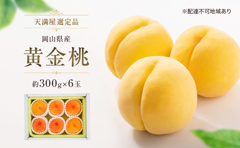 
                  【天満屋選定品】岡山県産 黄金桃（約300g×6玉）2026年発送
                