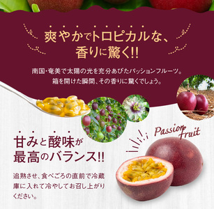 【 2025年 先行予約 】 かさり パッションフルーツ 贈答用 1kg（10～15個入り サイズ混在） A072-001 かさりパッションフルーツ 完熟パッションフルーツ 果物 フルーツ 果実 南国