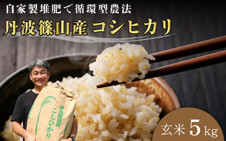 【令和7年産丹波篠山産】コシヒカリ 玄米 5kg こしひかり [DP07]