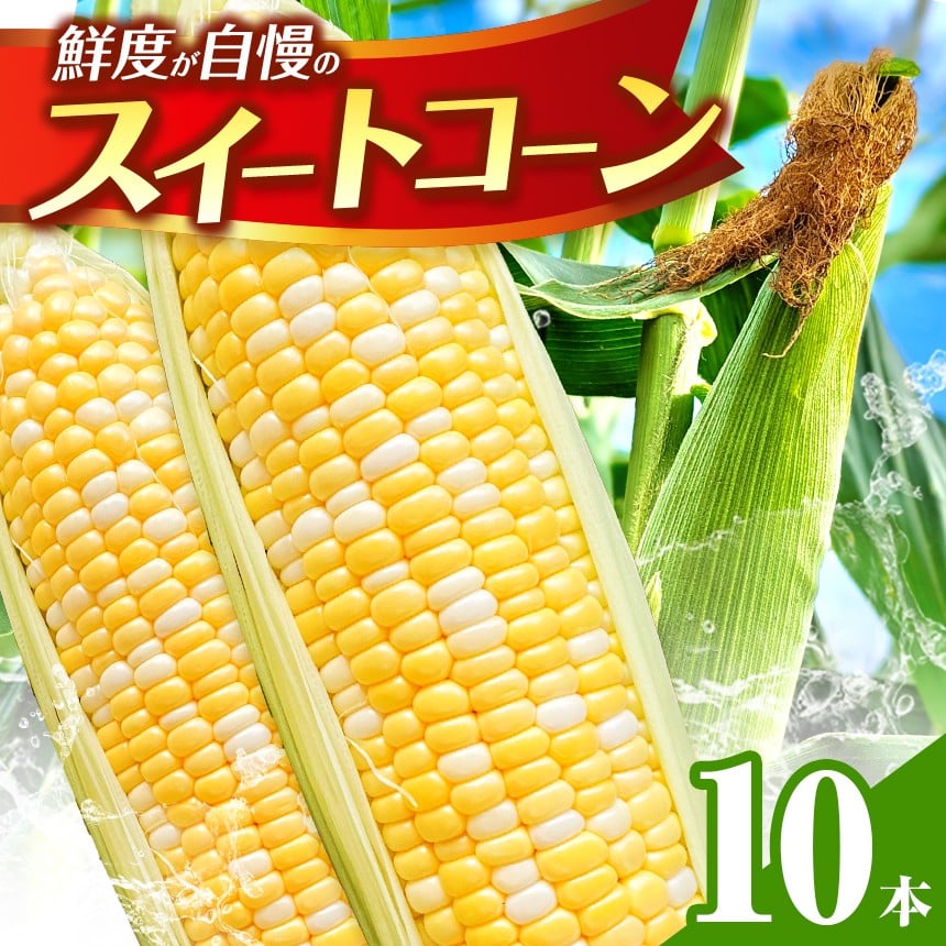 
            スイートコーン 10本 | コーン とうもろこし とうきび 甘い 焼き とうもろこし 茹で とうもろこし 熊本県 玉名市
          