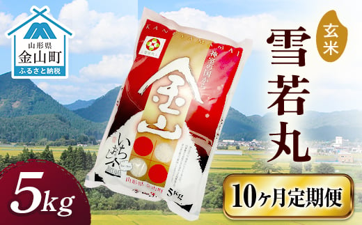 令和6年産 金山産米 雪若丸【玄米】（5kg）×10ヶ月 定期便 計50kg 10ヶ月 米 お米 ご飯 玄米 ブランド米 送料無料 東北 山形 金山町 F4B-0546