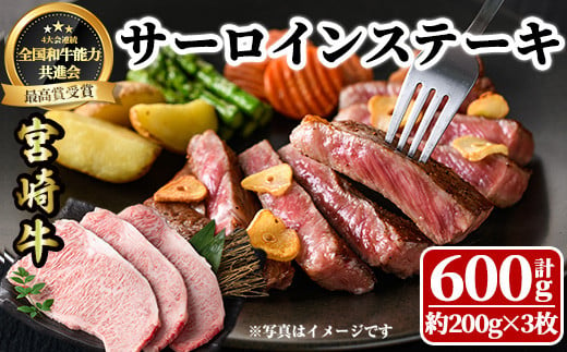 宮崎牛 サーロインステーキ(計600g・約200g×3枚)  牛肉 肉 ブランド牛  冷凍 国産 精肉 お取り寄せ 黒毛和牛 宮崎県 【LJ002】【レグセントジョイラー株式会社】