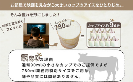 COZAB GELATO 訳あり 大容量 ひとりじめサイズ 2個セット FY25-276