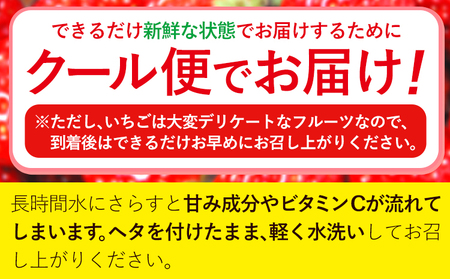 いちご あまおう 先行予約 いちご 大量 540g 3ヶ月定期便 フルーツ《2027年1月から出荷開始》苺 旬 くだもの 果物 福岡県 小竹町