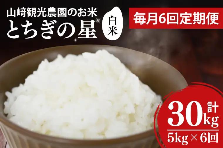 ＼先行予約／【全6回定期便】＜毎月＞山﨑観光農園のお米　とちぎの星　白米5kg （AU053）