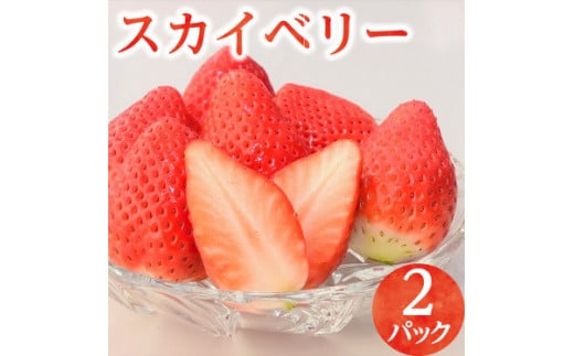 8-1【期間限定】スカイベリー（2パック）いちご イチゴ 苺 フルーツ 果物 数量限定 栃木県【オンライン決済限定】 ※着日指定不可 ※2023年1月中旬頃より順次発送予定