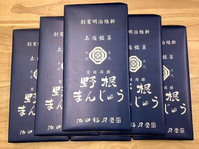 【最速発送】創業明治維新 浜口福月堂の野根まんじゅう 96個入 (16個入×6箱) 【創業明治維新浜口福月堂】 [ATCT002]　スピード 最短 最速 発送