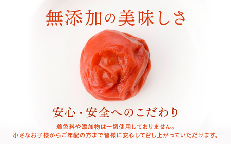 福井 梅干し Aセット（300g × 2個）【 うめ 無添加 】[m20-a007]