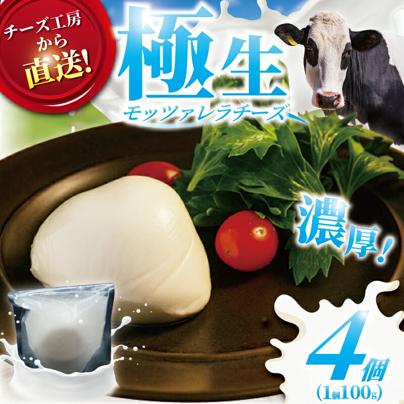 【ふるさと納税】 チーズ モッツァレラ チーズ 4個 極生 モッツァレラチーズ ちーず ナチュラルチーズ cheese フレッシュチーズ 手作り 自家製 新鮮 ミルク 新鮮 出来立て 直送 ビール おつまみ ピザ パスタ お酒のあて Aprotodo’S株式会社 RRAAP BREWERY 神奈川 湘南 藤沢