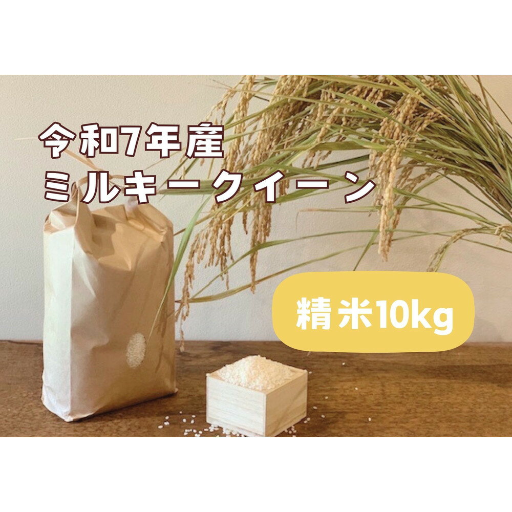 【ふるさと納税】【令和7年産】栃木市岩舟町産ミルキークイーン10kg【精米】米　新米　ミルキー　農家直送　産地直送　