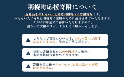 北海道羽幌町への応援寄付　返礼品なし　1口 100,000円