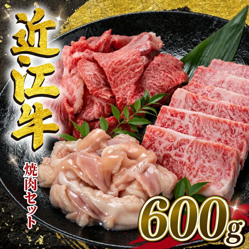 【ふるさと納税】 家計応援 近江牛 焼肉 セット 計600g 200g×3種 カルビ 切り落とし ホルモン 焼き肉 コプチャン バラ サシ ホソ 切落し きりおとし 牛肉切り落とし 3種 バラ バラ肉 BBQ 肉 牛肉 黒毛和牛 神戸牛 松阪牛 に並ぶ 日本三大和牛 牧場 滋賀県 竜王町 岡喜