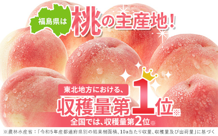 先行予約【透過式光センサー選別】 福島県伊達市産 桃 川中島 特秀 約5kg F20C-126