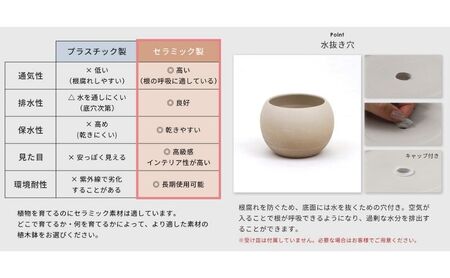 植木鉢 Gonfler(ゴンフレ) 選べるカラー セラミック 約 6号 フラワーポット プランター 鉢 丸い鉢 丸い 丸型 中型 観葉植物 おしゃれ くすみカラー ガーデニング用品 ガーデニング 園芸