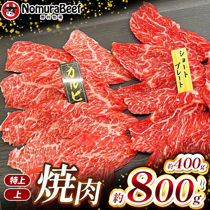 【ふるさと納税】栃木県 国産牛 特上焼肉 200g・上焼肉 200g (合計400g) ・特上焼肉 400g・上焼肉 400g (合計800g) | 国産 F1 F1牛 牛肉 焼肉 とろける 霜降り 赤身 切り落とし 年末 しゃぶしゃぶ すき焼き 牛丼 おすすめ 訳あり 送料無料 栃木県 下野市 しもつけ市