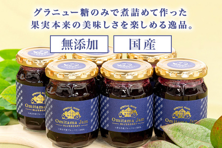 ブルーベリージャム6個 ブルーベリー ジャム ブルーベリージャム フルーツ 果物 ビタミンE アントシアニン 栄養 目にいい 健康 美容 ギフト 贈り物 茨城県産 プレゼント セット 詰め合わせ スイ