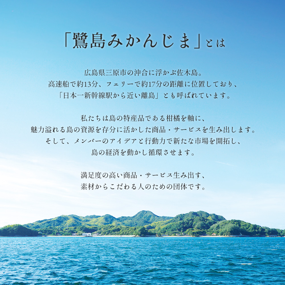 みかん 【先行予約】 【2025年1月以降発送】 爽やかな香りと甘さに満足！ 新品種 はれひめ ＜約3kg＞ 広島 三原 佐木島 鷺島みかんじま 017042