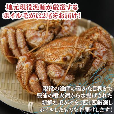 ふるさと納税 豊浦町 【先行受付】【地元現役漁師が厳選!!】ボイル・毛ガニ3尾(1尾400〜500g) TYUR009 |  | 02