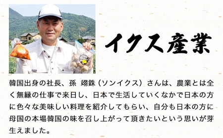 【先行予約】桃 もも 孫さんの桃(なつっこ・川中島白桃)約2.5kg(6~8玉) イクス産業《7月上旬-8月中旬頃より出荷予定》 和歌山県 紀の川市