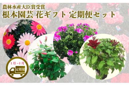 【先行予約】季節の花 定期便 4回 (1-4月) 色おまかせ 根本園芸 | 花ギフト定期便