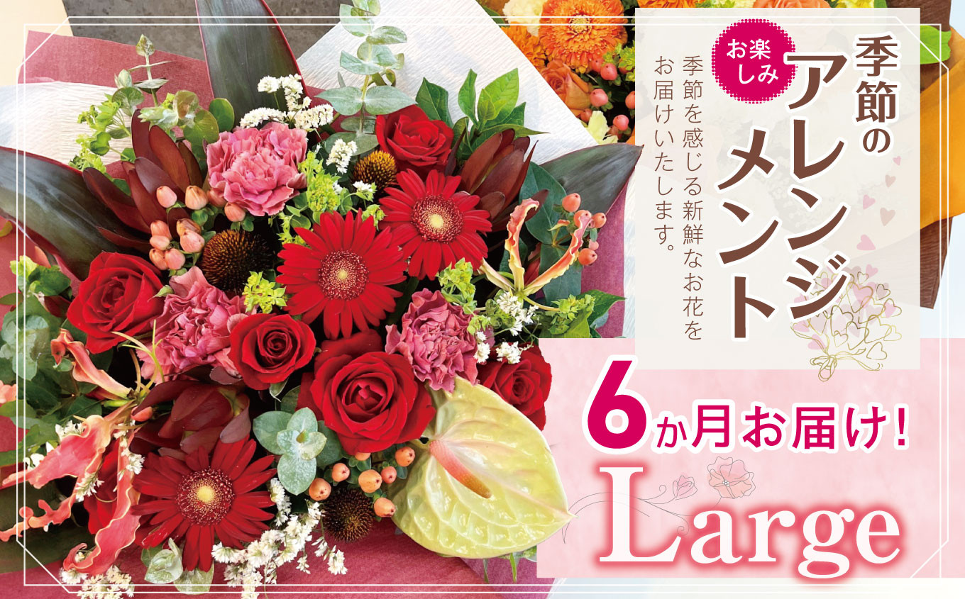 
                  お楽しみ！6か月 お届け 季節のアレンジメント「Large」 |  アレンジ タイプ 高さ約42cm 横幅約40cm お花 flower フラワー ふらわー 花 はな リトルシード インテリア 植物 定期便 定期 お任せ お見舞い ギフト お祝い 誕生日 親孝行 プレゼント贈り物 新鮮 調布  東京都
                