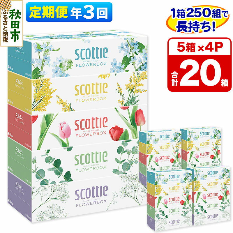 【ふるさと納税】《4ヶ月ごとに3回お届け》定期便 ティッシュペーパー スコッティ フラワーボックス250組 20箱(5箱×4パック) ティッシュ 秋田市オリジナル