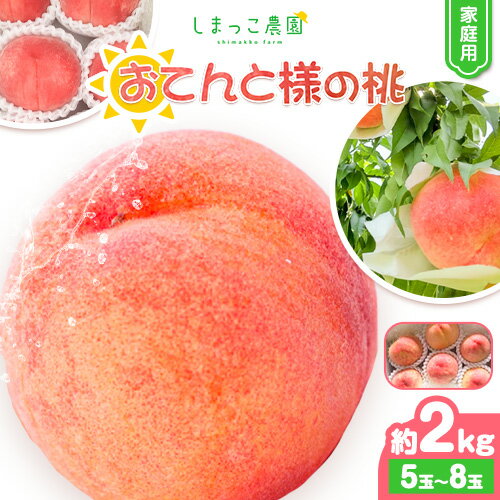 【ふるさと納税】家庭用 おてんと様の桃 約2kg(5-8玉) しまっこ農園《2026年6月上旬-8月中旬頃出荷(土日祝除く)》 和歌山県 紀の川市 もも モモ 果物 フルーツ
