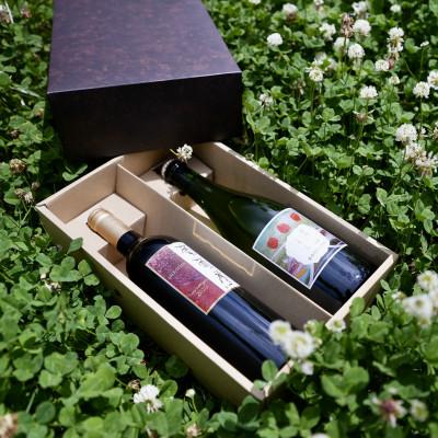 ふるさと納税 喜多方市 WINERY JUN【福島の恵み　りんごとぶどう酒(Bセット)】750ml×2本 |  | 01