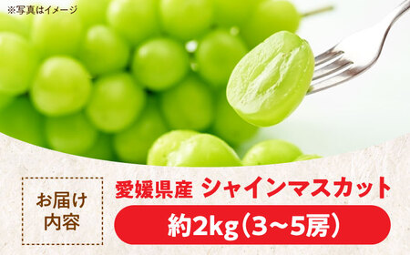 【先行予約】【9月初旬より順次発送】ジュワッと果汁が溢れ出る、家族みんなが笑顔になる。ご家庭用シャインマスカット約2kg（3〜5房）　愛媛県大洲市/沢井青果有限会社 [AGBN006]マスカットぶどう