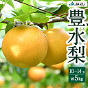 【ふるさと納税】【先行予約】JAにじ 豊水梨 10玉から14玉 (約5kg) 2025年8月中旬から9月上旬 出荷予定