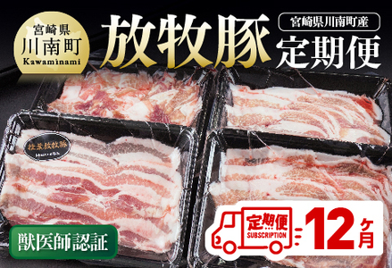 【12ヶ月定期便】宮崎県川南町産豚肉　放牧豚定期便 【 豚 肉 豚肉 国産 九州産 宮崎県産 川南町 加工品 セット 送料無料 】