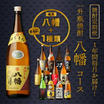 【ふるさと納税】【発送月固定定期便】1年間毎月お届け!一升瓶 焼酎「八幡」コース全24本全12回【4088654】