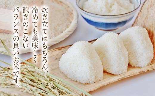 【令和7年度産】 山形県産　はえぬき精米 5kg ≪2025年10月より順次発送≫ ブランド米 こめ ご飯 ごはん 白米 F4A-0980