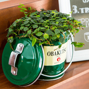 ミニオバケツ　0.35L 10個　バケツ おしゃれ  日本製 リビング キッチン 園芸 全色セット(シルバーのみ2個)