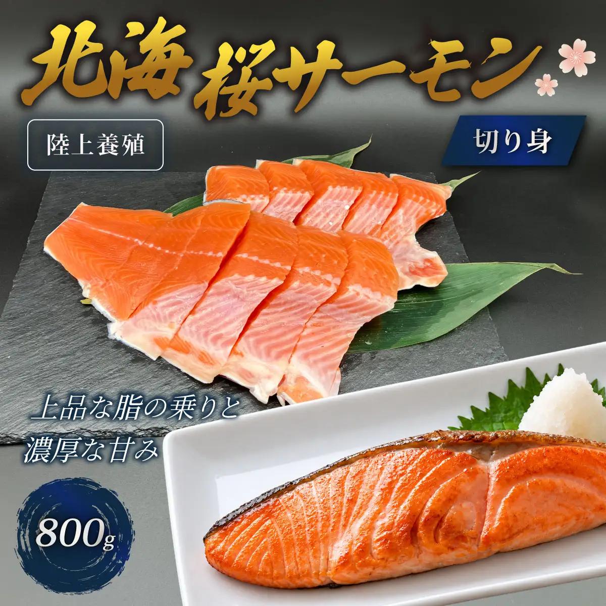 「陸上養殖」 北海桜サーモン 切り身 800g 冷凍 国産 北海道産 道産 松前産 トラウト サーモン 鮭 生鮭 切身 焼き魚 塩焼き ムニエル ホイル焼き アクアパッツァ お手軽 おかず 弁当 産地直送 お取り寄せ 海鮮 鮮魚 活〆 北海道 松前町MATP010