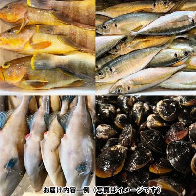ふるさと納税 出雲市 季節のおさかな、おまかせセット!3K相当【2-113】 |  | 02