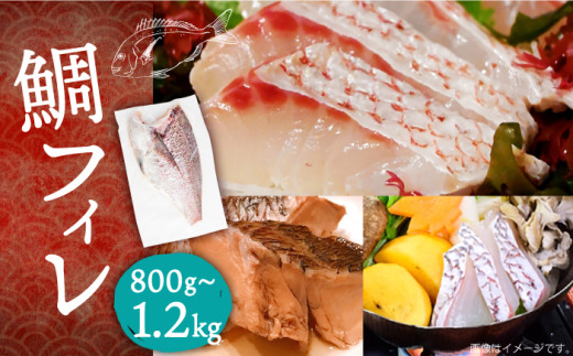 鯛フィレ 800〜1200g（1尾・2.0kg台） 《壱岐市》【なかはら】[JDT006] たい タイ 鯛 フィレ 柵 刺身 刺し身 さしみ 海鮮 魚介 24000 24000円