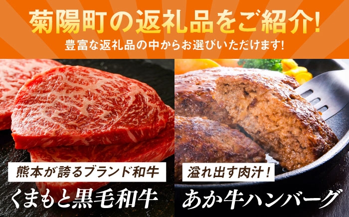 菊陽町ふるさとギフト 20万円分 肉 ラーメン ハンバーグ ハラペーニョ 馬刺し 味噌 あとから 野菜 熊本県 菊陽町