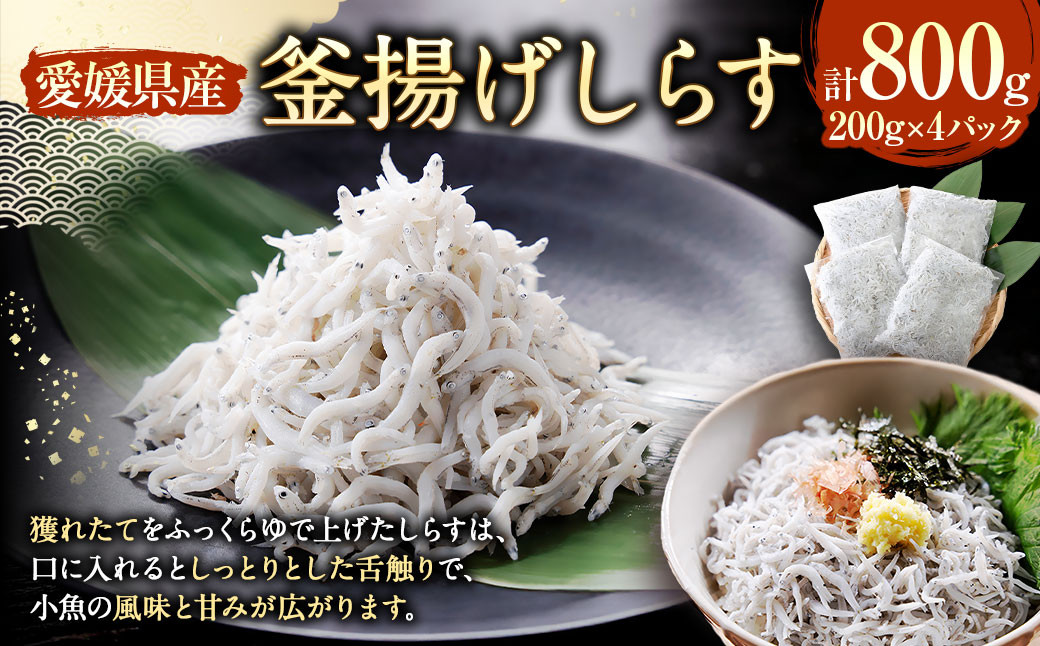 
            釜揚げしらす【4パック】 計約800g 釜揚げシラス しらす 釜揚げ 加工品 グルメ 食品 魚介 小魚 魚 海鮮 海の幸 愛媛県 冷凍 （896）
          