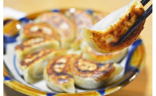 焼・蒸・茹・煮　四変化のよくばり餃子　60個 / 餃子 ぎょうざ ギョウザ ギョーザ 国産 冷凍 / 諫早市 / 杏てい [AHBT006]