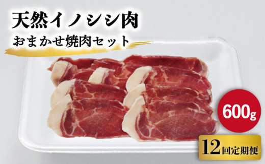 【12回定期便】ジビエ 天然イノシシ肉 おまかせ焼肉セット 600g （ロース・モモ・バラ）【照本食肉加工所】 [OAJ030] / 肉 猪 猪肉 イノシシ イノシシ肉 いのしし しし肉 しし鍋 ボタン鍋 ジビエ